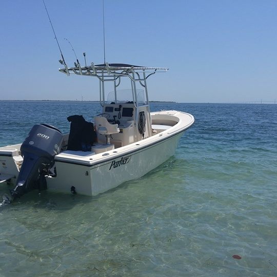 How to Catch Pompano in Tampa Bay: The Local Angler’s Guide