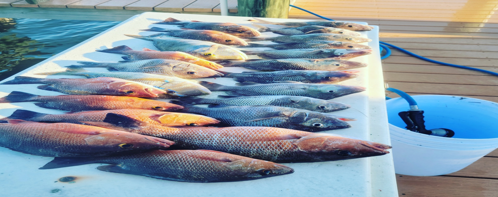 Give the Gift of Adventure with Five O’Clock Charlie Tours’ Fishing Charters & Outdoor Experiences!