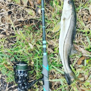 ToadFish Rod Review 