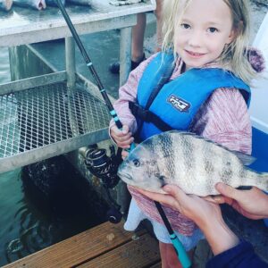 Toad Fish Rod Review, Captain's Corner, Fishing Boat Tours Charters and  Marine Wildlife