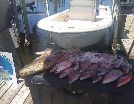 Fish on