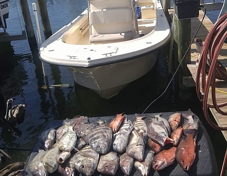 Fishing Tours with Five O’Clock Charlie Boat Tours brings in the Big Catch
